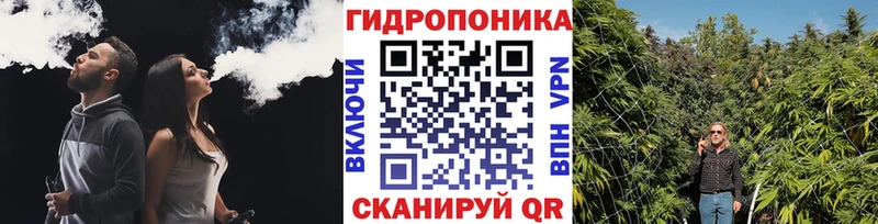 omg ONION  Малмыж  Каннабис VHQ 